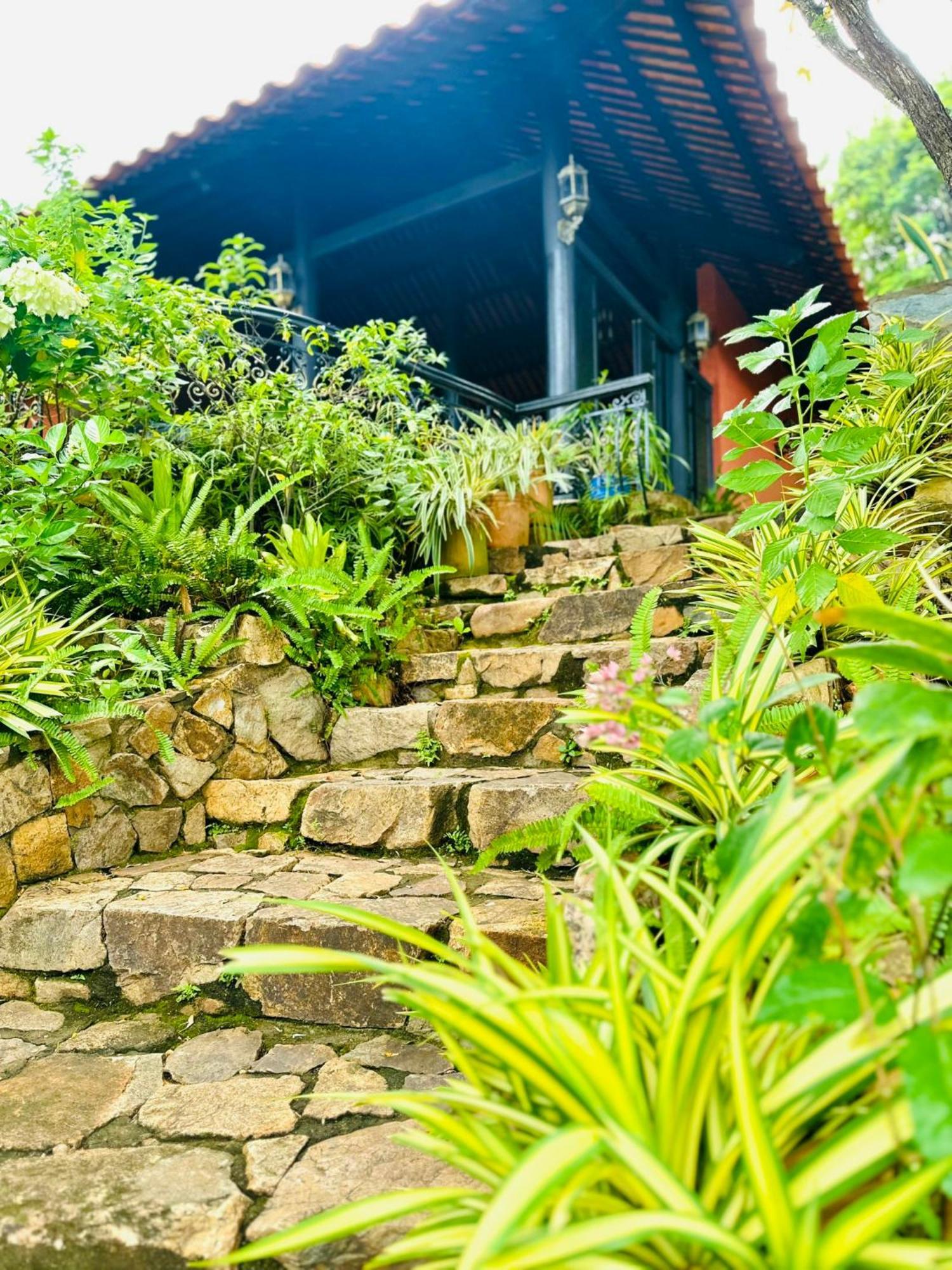บินห์อัน วิลเลจ รีสอร์ท วุ้งเต่า หวุงเต่า ภายนอก รูปภาพ