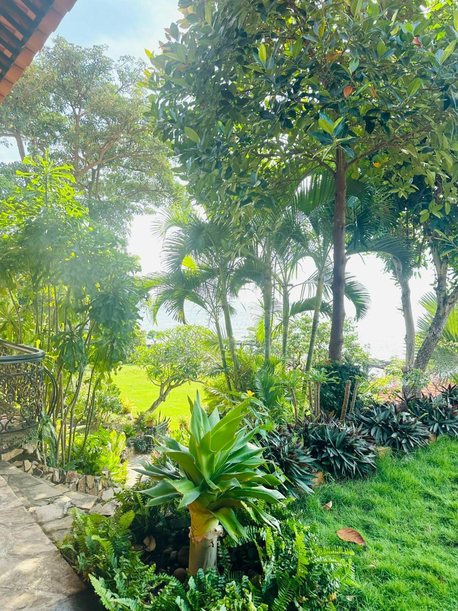 บินห์อัน วิลเลจ รีสอร์ท วุ้งเต่า หวุงเต่า ภายนอก รูปภาพ